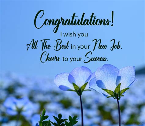 wishes   job congratulations messages