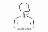Icon Esophagus sketch template