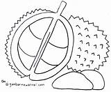 Buah Mewarnai Durian Buahan Putih Hitam Sketsa Diwarnai Kolase Colouring Marimewarnai Lukisan Tempatan Bagus Naga Delima Manggis Waffle Animasi Hewan sketch template