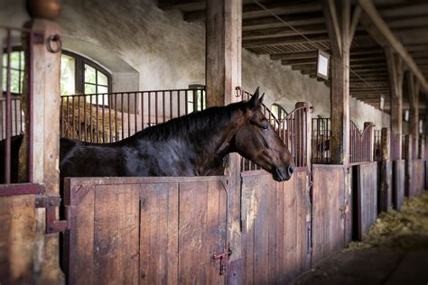 finding horse riding stables  lessons  questions   hrn