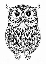 Coloring Owl Pages Cool Popular Owls sketch template