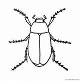 Lightning Bugs Coloring4free sketch template