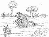 Bunyip Robin Coloring Pages Great sketch template