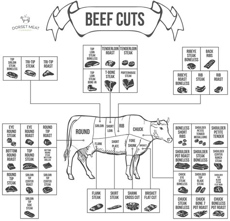 butchers guide  beef cuts cuts  beef uk butchers cuts beef