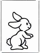 Konijn Kleurplaten Dieren Lapin Kaninchen Konijntje Conejo Hasen Coelho Coniglietto Ausmalen Konijnen Conejito Rabbit Coniglio Plaatjes Knaagdieren Mandalas Animaatjes Funnycoloring sketch template