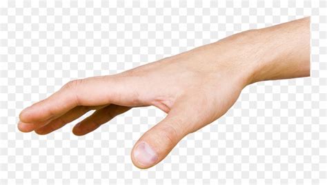 hands google search hands google search  transparent png