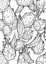 Fruit Dragon Coloring Etsy Pages Colouring sketch template