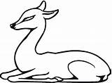 Deer Coloring Pages Baby Fawn Laying Down Easy Animals Clipartmag Library Popular Comments sketch template
