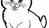 Ausmalbilder Katze Genial Malvorlage Malvorlagen sketch template