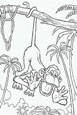 Chimpanzee Theme Themafeesten Afrika Junction Mighty Sheets Dierentuindieren Bewaard User Dieren sketch template