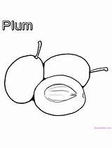 Plum Coloring Fruit Pages Plums Choose Board sketch template