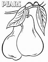Pear Coloring Pages Print sketch template