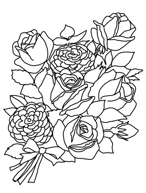 bunch  roses drawing  getdrawings