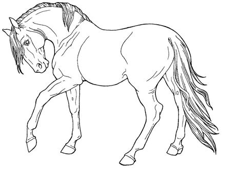 horse print  coloring pages  printable coloring pages