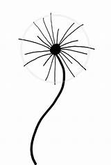 Dandelion Draw Step Drawing Easy Doodle Simple Flower Tutorial Make Diaryofajournalplanner Intricate Points Later Always Few Start If Just Add sketch template