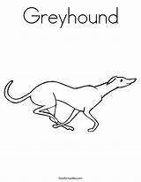 Pages Colouring Greyhounds Choose Board Greyhound Coloring sketch template