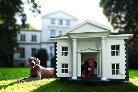 adorable dog houses  adorable homeadorable home