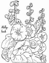Coloring Pages Hollyhocks Adult Clipart Hollyhock Fairy Vintage Old Christmas Fashioned Graphics Printable Flower Flowers Clip Lovely Floral Colouring Book sketch template