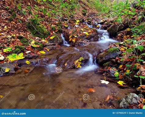 water stream stock image image  plants leaf