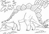 Stegosaurus Coloringfolder Sheets sketch template