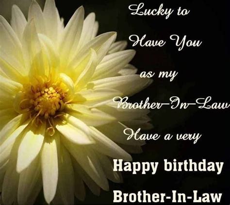 happy birthday brother  law birthday wishes  brother  law