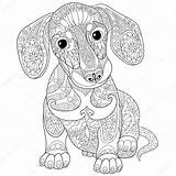 Zentangle Dachshund Bassotto Puppy Cucciolo Mandala Stilizzato Freehand Tedesco Stylized Bloodhound Antistress Stiliserade Gestileerde Hond Poodle Cuccioli Disegnare Sybirko Gograph sketch template