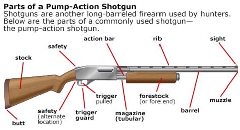 single shot shotgun parts diagram