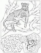 Coloring Pages Animal Habitats Popular sketch template