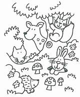 Forest Coloring Pages Enchanted Printable Getcolorings sketch template