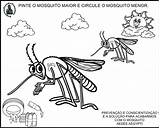 Zika Dengue Mosquito Educação Aegypti Aedes Pequenos Pensantes Chikungunya Projeto Combate Infantiles Alfabetização sketch template