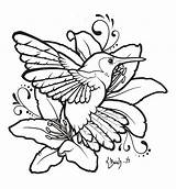 Hummingbird Clipart Lilies Line Drawing Drawings Coloring Hummingbirds Lily Flowers Lineart Svg Cliparts Clip Sketch Clipartmag Library Tattoo Choose Favourites sketch template