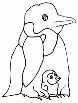Coloring Penguins Pages Printable Penguin Animals Cliparts Chick Chicks Print Clip Library Birthday Coloringpagebook Book Clipart Advertisement Dad sketch template
