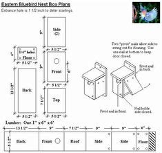 tufted titmouse nest box plans bird house plans  bird houses bird house plans