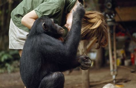 among the wild chimpanzees worksheet escolagersonalvesgui