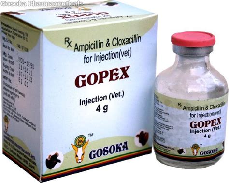 gopex injection manufacturer exporter supplier  mahesana india