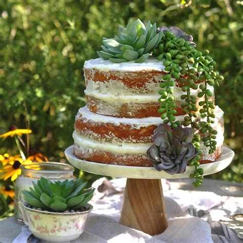 Succulent Naked Cake Life Is A Party