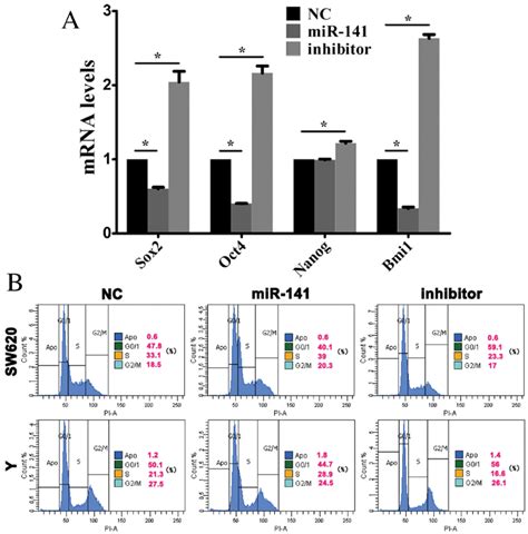 mir 141 inhibits the maintenance of cancer stem cell stemness cells