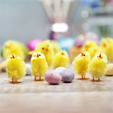 Yellow Fluffy Chicks By Postbox Party