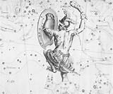 Orion Constellation Coloring Sketch Constellations Chandra Hunter Designlooter Uranographia 1690 Look Time Album Paintingvalley Edu 3kb 430px Harvard Hevelius Johannes sketch template