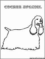 Cocker Spaniel Coloring Pages Template sketch template