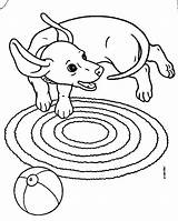 Coloring Dog Weiner Getcolorings Dachshund sketch template