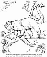 Monkey Howler Honkingdonkey sketch template