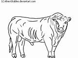 Hereford Line Bull Drawing Getdrawings Deviantart sketch template