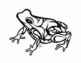 Tribal Drawing Frog Drawings Clipart Line Tattoo Jamie Lynn Ribbet Cliparts Lovely Digital Clipartbest Artwork Library Clip Tattooimages Biz Designs sketch template