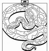 Python Burmese Crittersquad sketch template