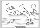 Orca Coloring Whale Killer Sea Pages Print sketch template