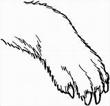 Claw Paw Claws Coloringbay Designlooter sketch template