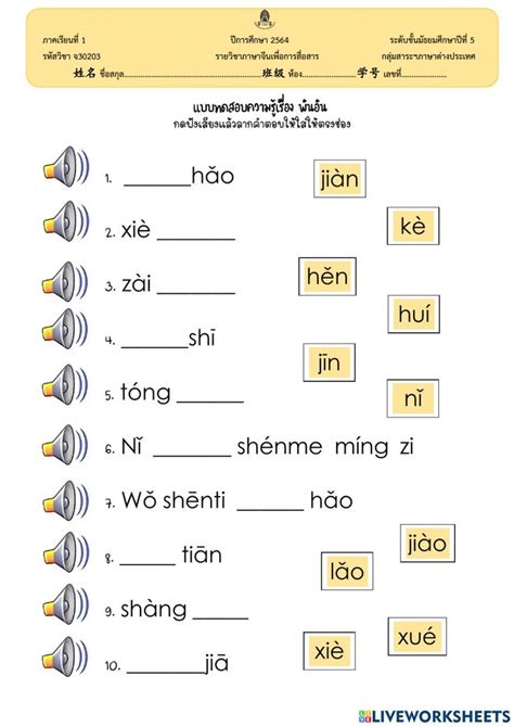 pinyin  worksheet        exercises