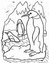 Pinguini Pinguin Colorat Planse Suhu Terhadap Beradaptasi Udara Pinguinii Simpatici Acestor Culoare Atat Veseli Haideti Dam sketch template