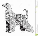 Hound Afghan Zentangle Coloring Freeh Afgano Levriero Stilizzato Stylized sketch template